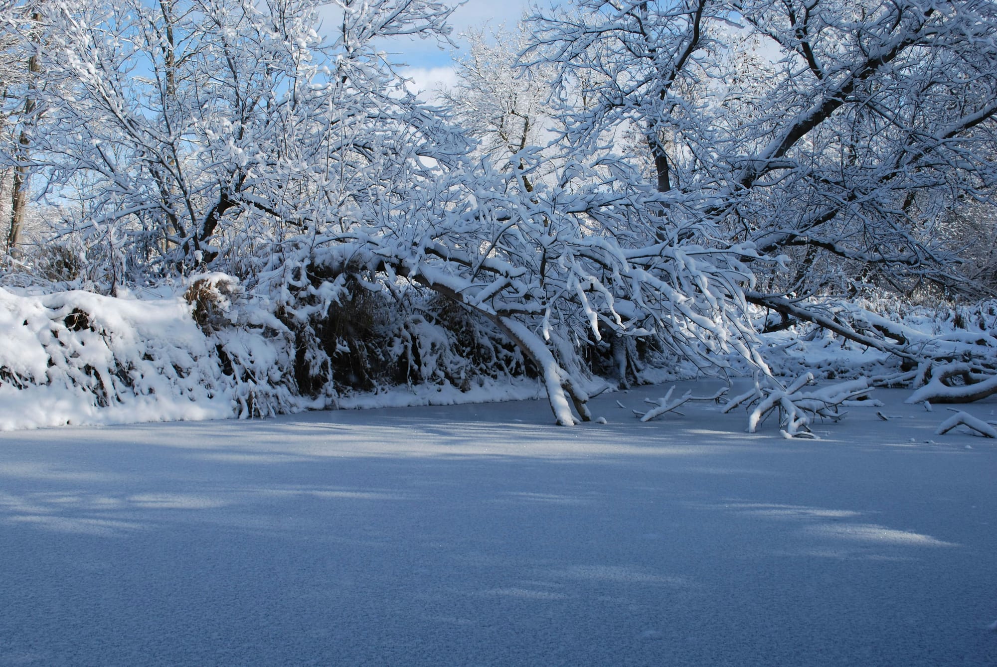 Kohti uutta vuotta